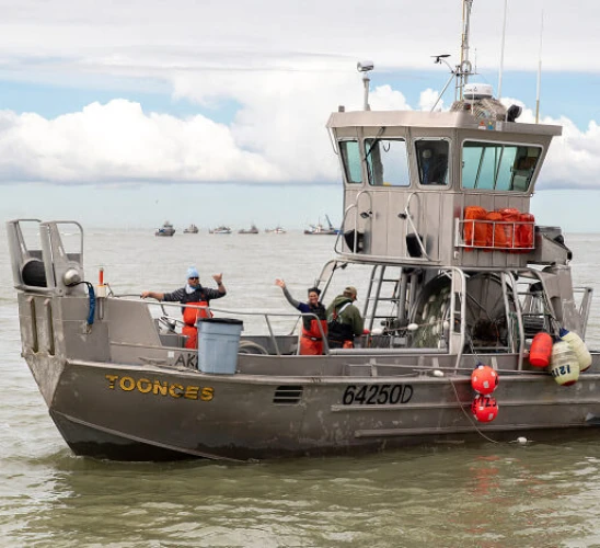 Partners In High Quality Seafood