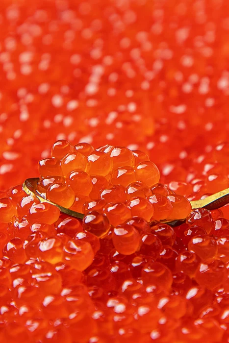 Close-up of salmon roe