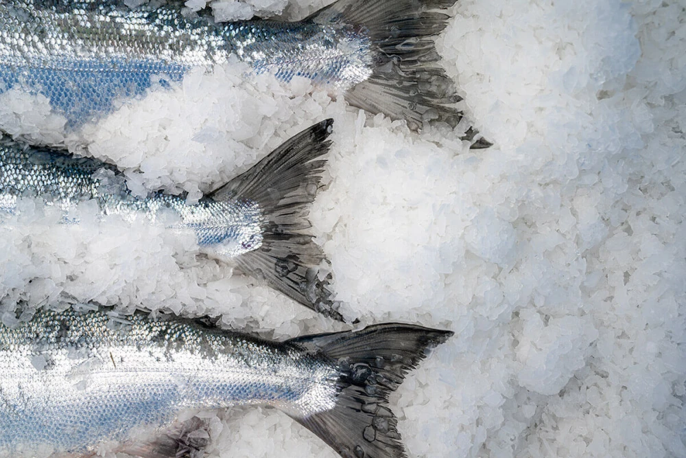 Sustainability & Quality