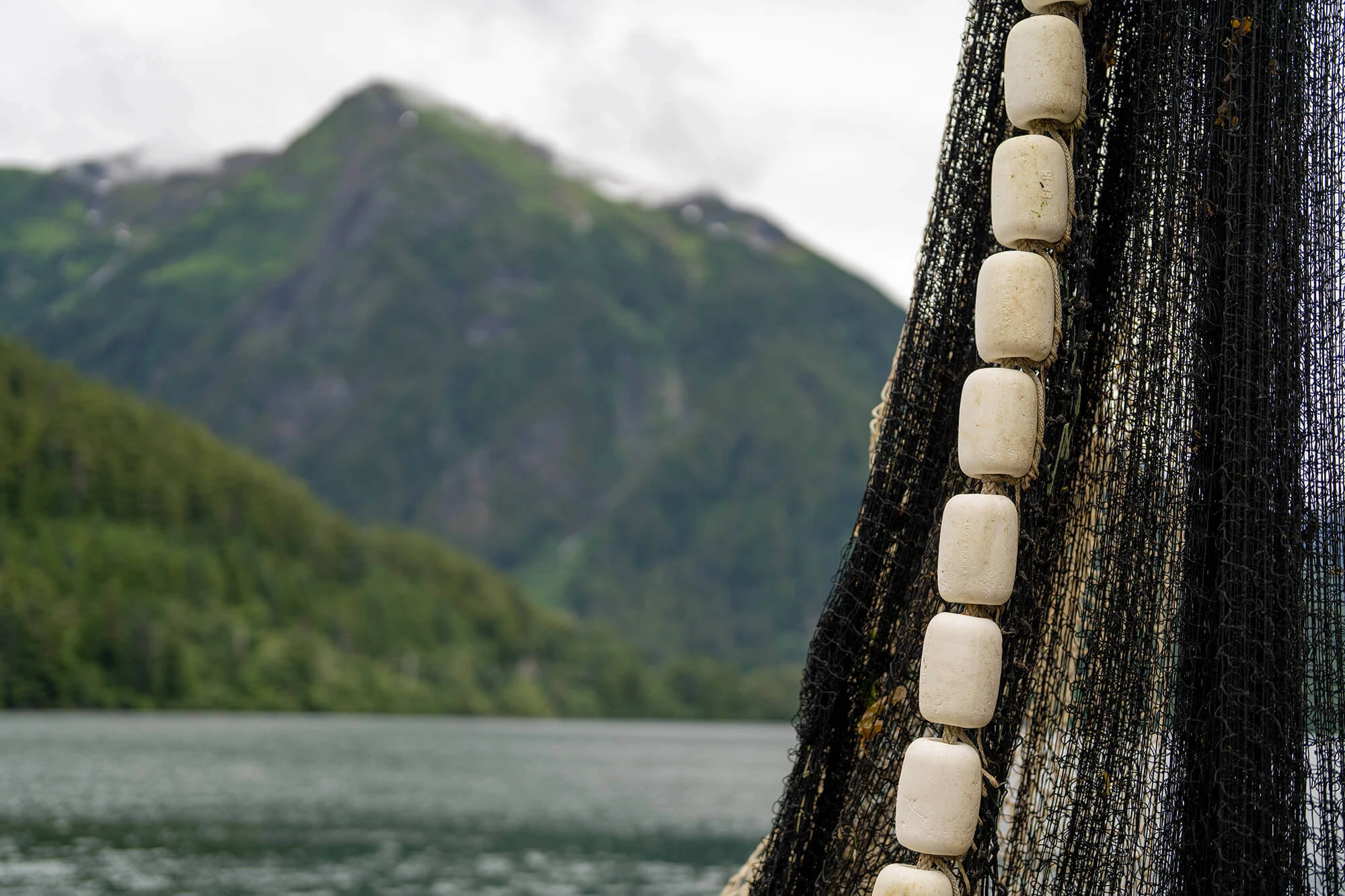 Silver Bay Seafoods to acquire Trident Seafoods’ Ketchikan plant