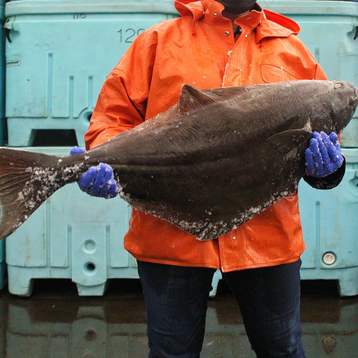 Fisherman holding freshly-caught whitefish