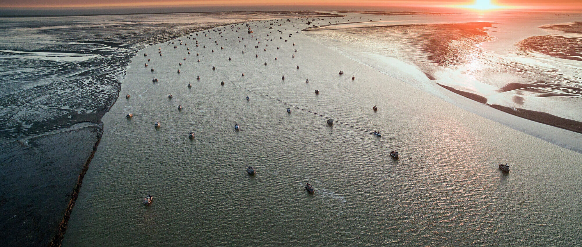 Bristol Bay