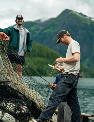 Team member cleaning salmon in one of our facilities